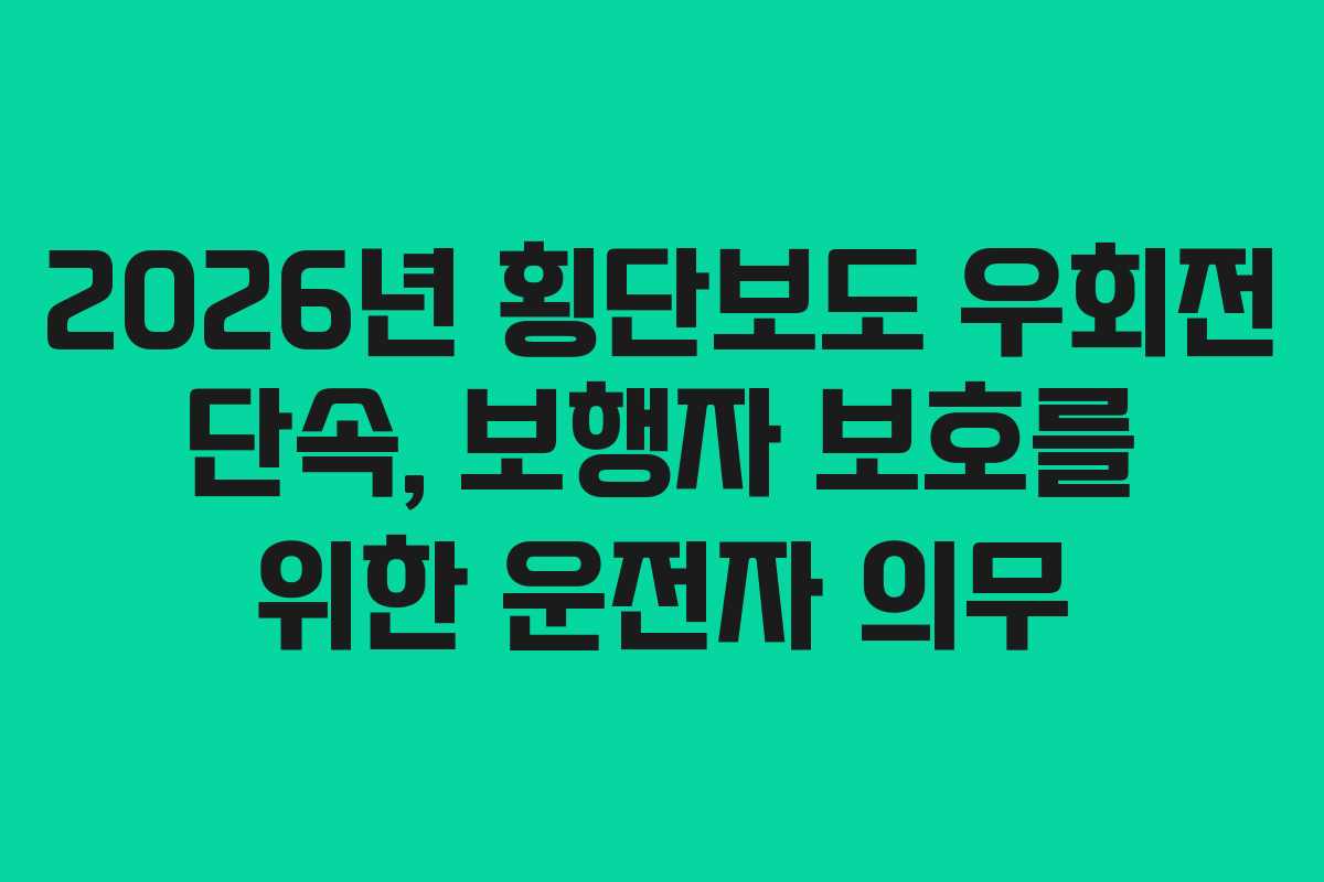 2026년 횡단보도 우회전 단속, 보행자 보호를 위한 운전자 의무