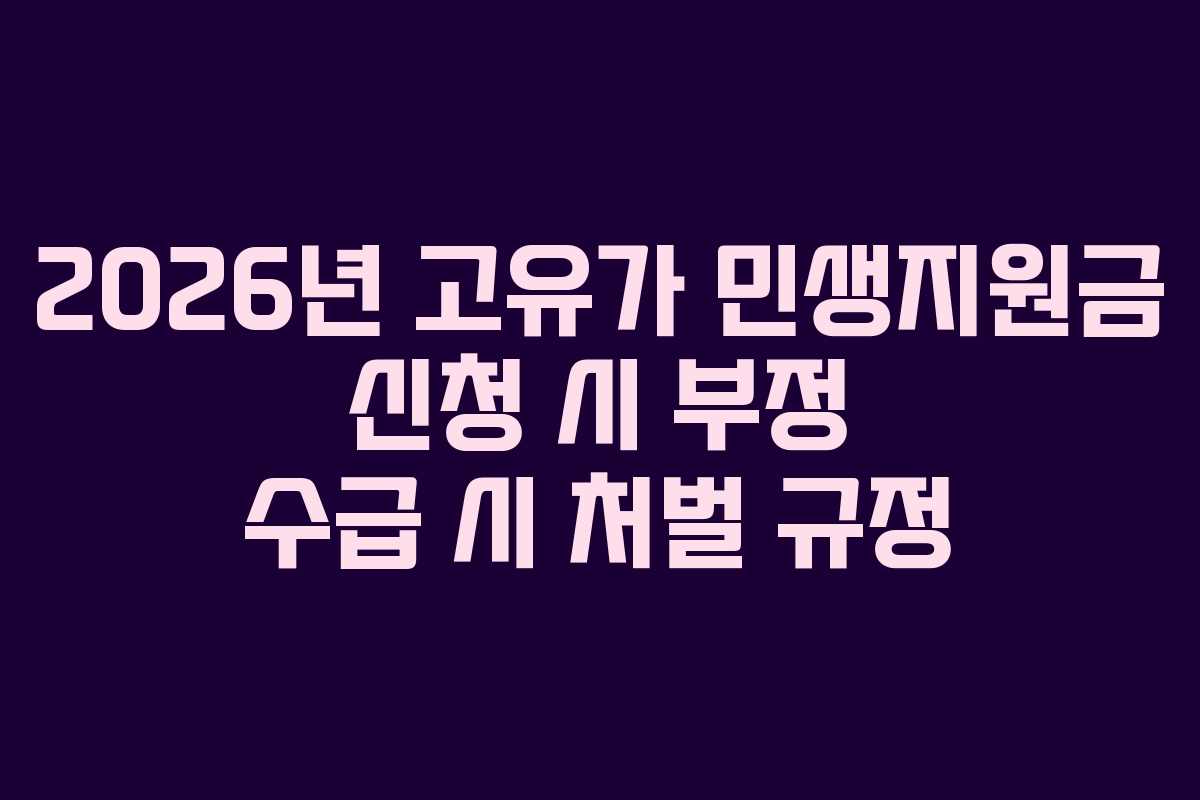 2026년 고유가 민생지원금 신청 시 부정 수급 시 처벌 규정