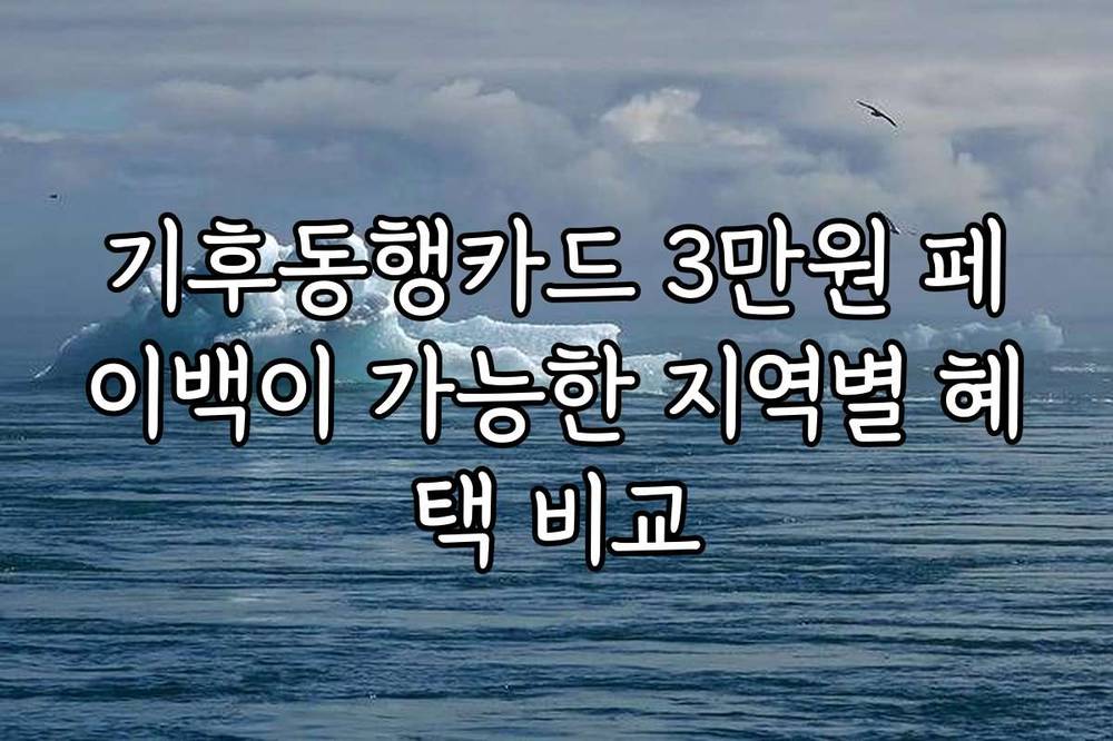 기후동행카드 3만원 페이백이 가능한 지역별 혜택 비교
