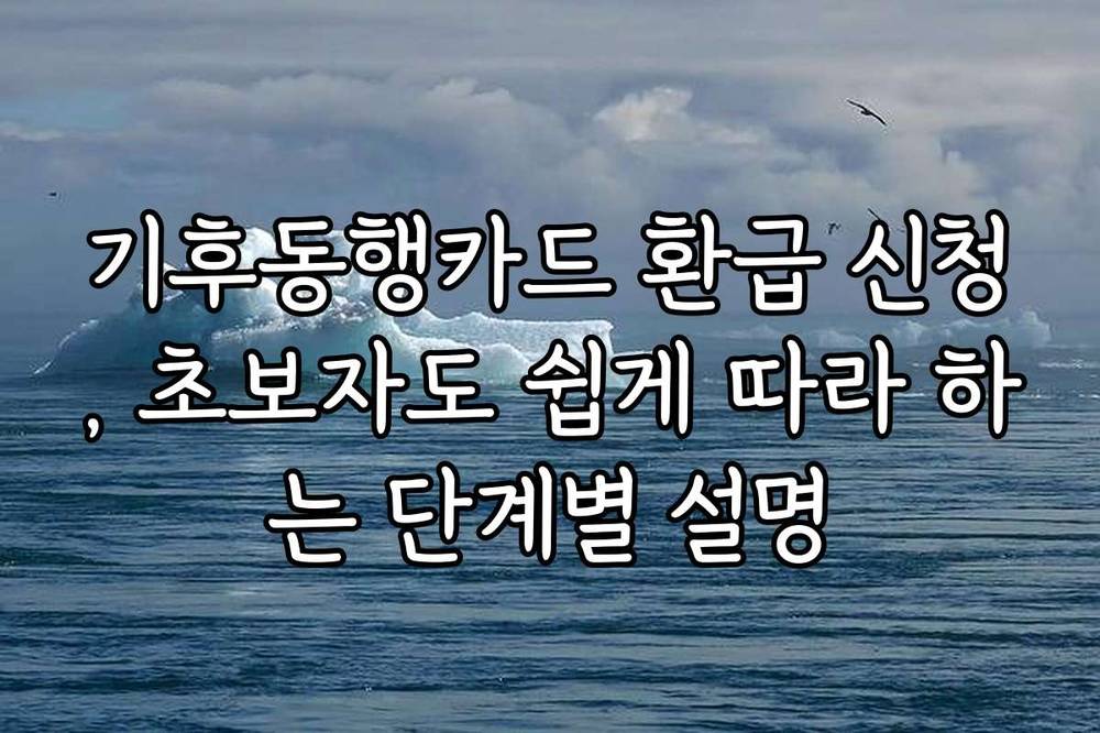 기후동행카드 환급 신청, 초보자도 쉽게 따라 하는 단계별 설명
