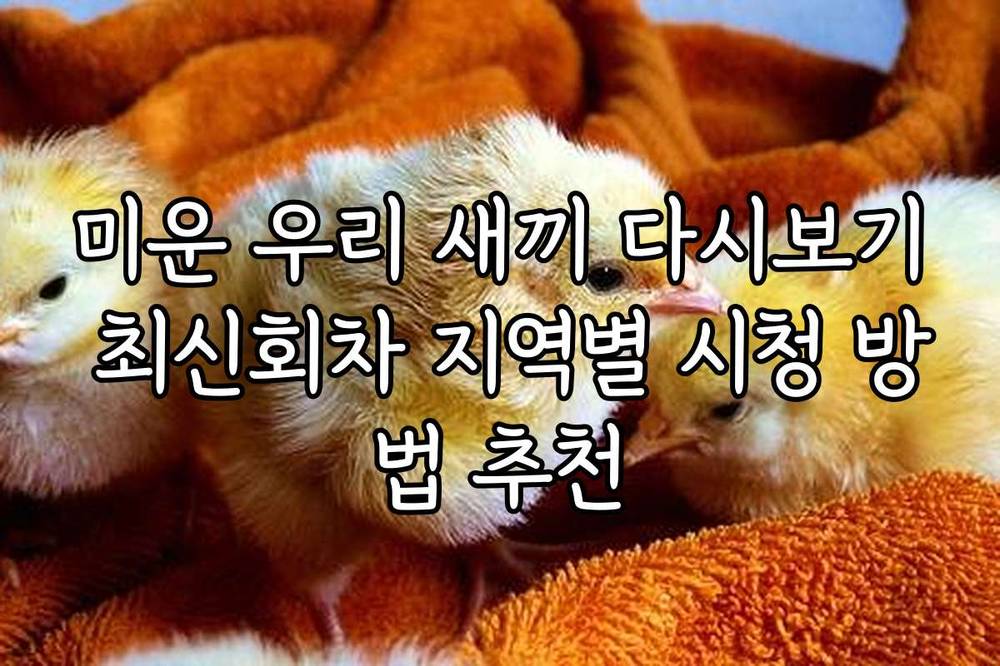 미운 우리 새끼 다시보기 최신회차 지역별 시청 방법 추천