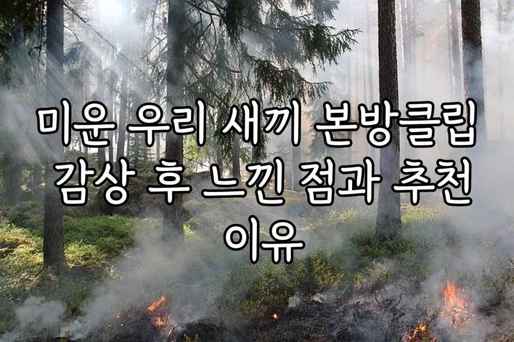 미운 우리 새끼 본방클립 감상 후 느낀 점과 추천 이유