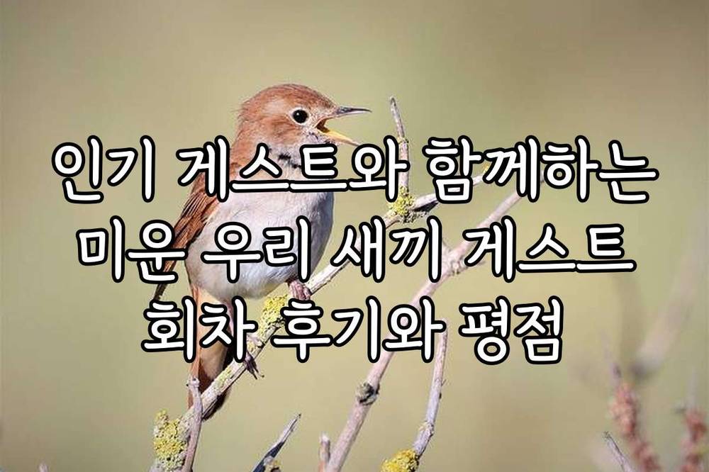 인기 게스트와 함께하는 미운 우리 새끼 게스트 회차 후기와 평점