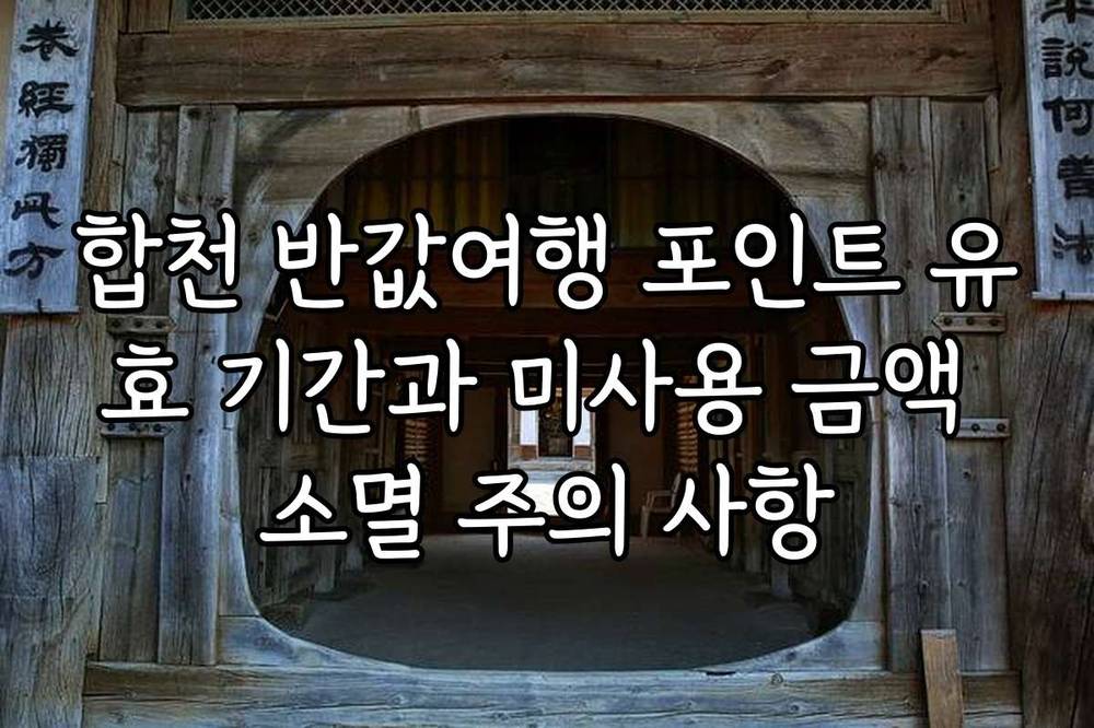 합천 반값여행 포인트 유효 기간과 미사용 금액 소멸 주의 사항