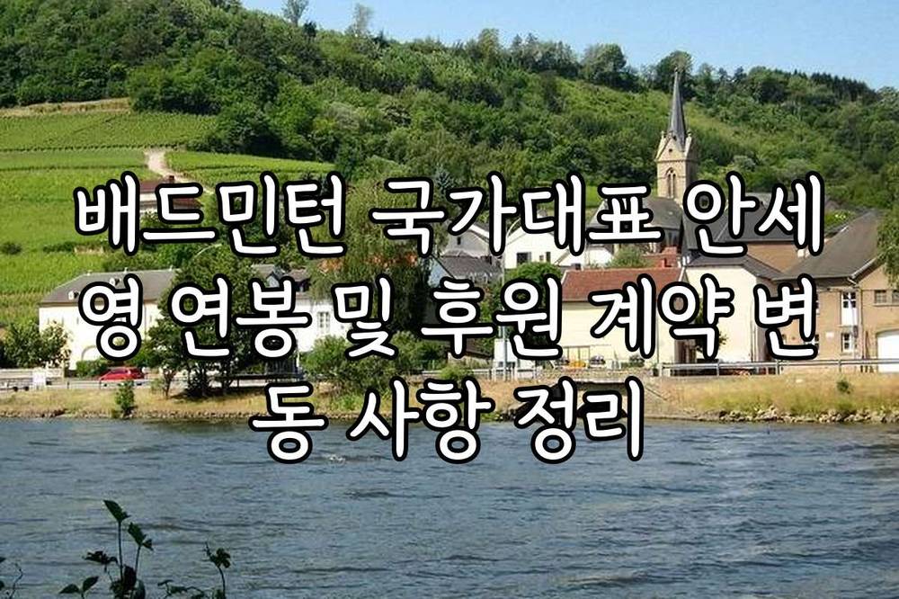 배드민턴 국가대표 안세영 연봉 및 후원 계약 변동 사항 정리