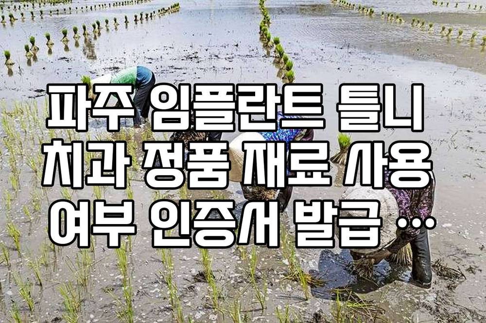 파주 임플란트 틀니 치과 정품 재료 사용 여부 인증서 발급 확인 가이드