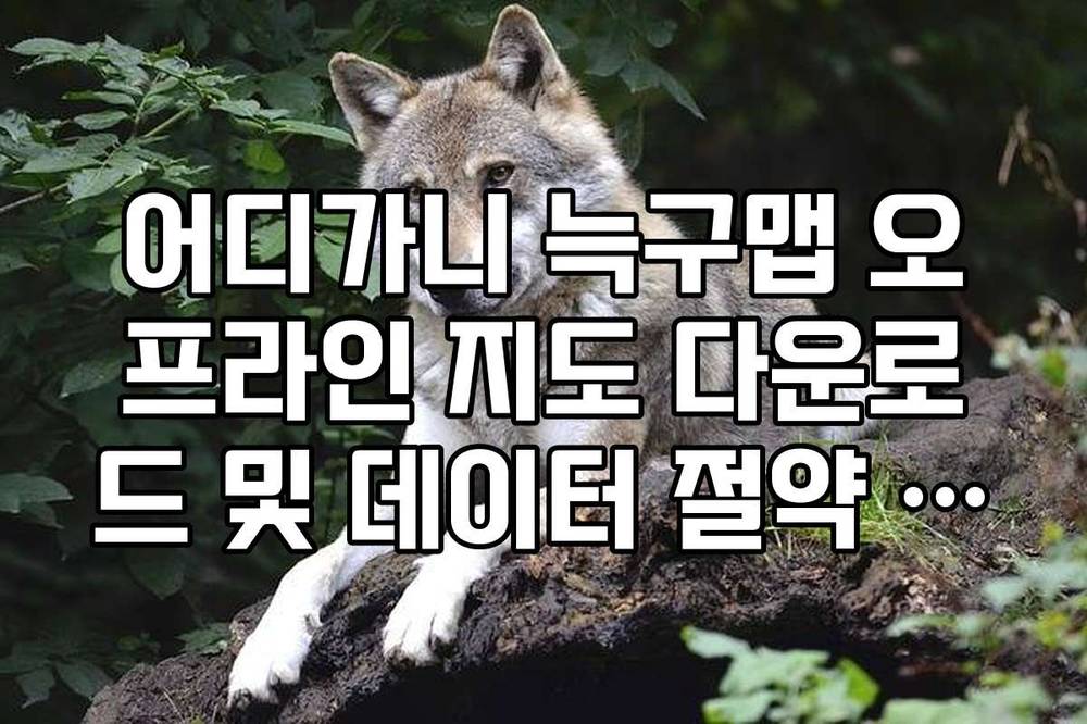 어디가니 늑구맵 오프라인 지도 다운로드 및 데이터 절약 모드 안내