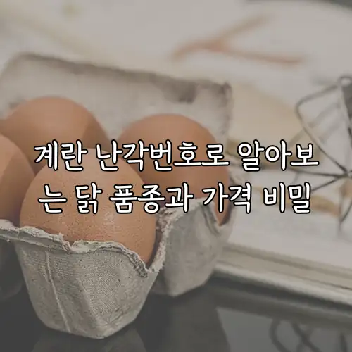 계란 난각번호로 알아보는 닭 품종과 가격 비밀