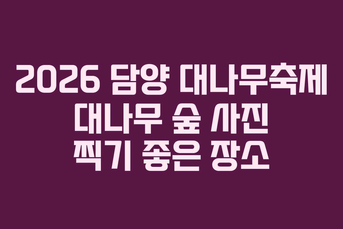 2026 담양 대나무축제 대나무 숲 사진 찍기 좋은 장소