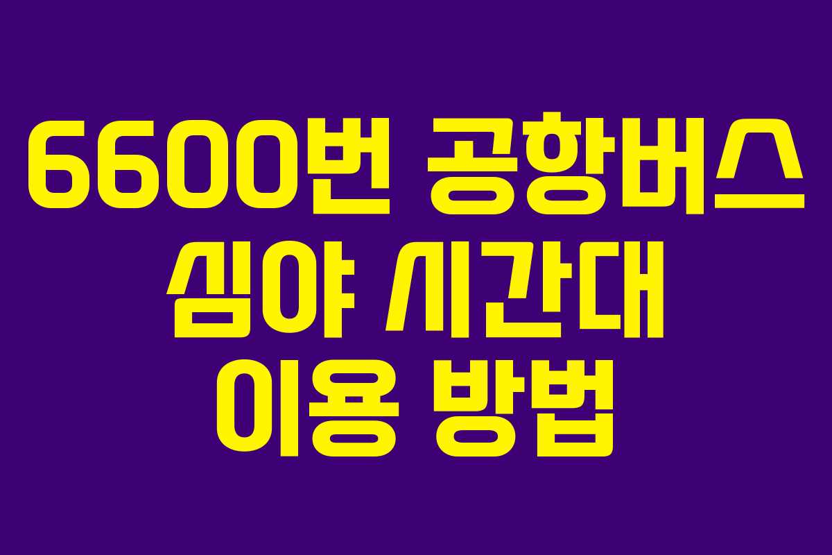 6600번-공항버스-심야-시간대-이용-방법