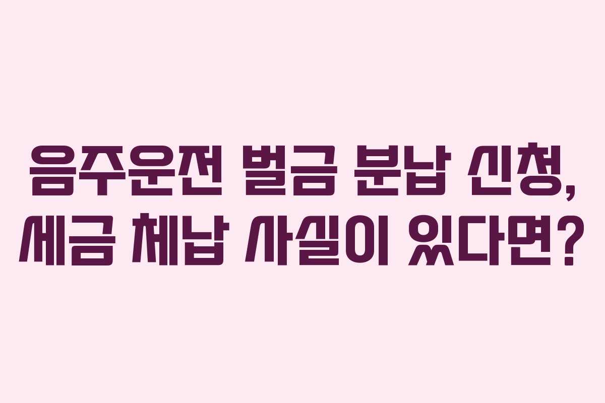 음주운전-벌금-분납-신청,-세금-체납-사실이-있다면