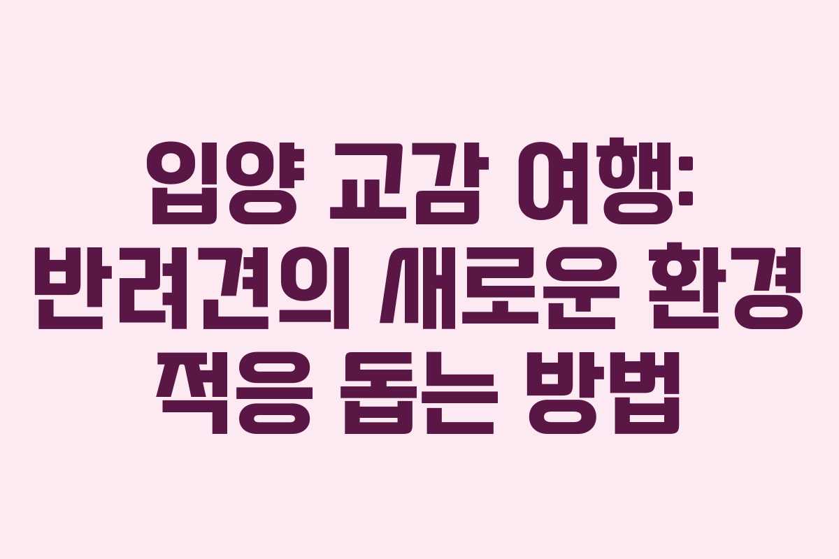 입양-교감-여행-반려견의-새로운-환경-적응-돕는-방법