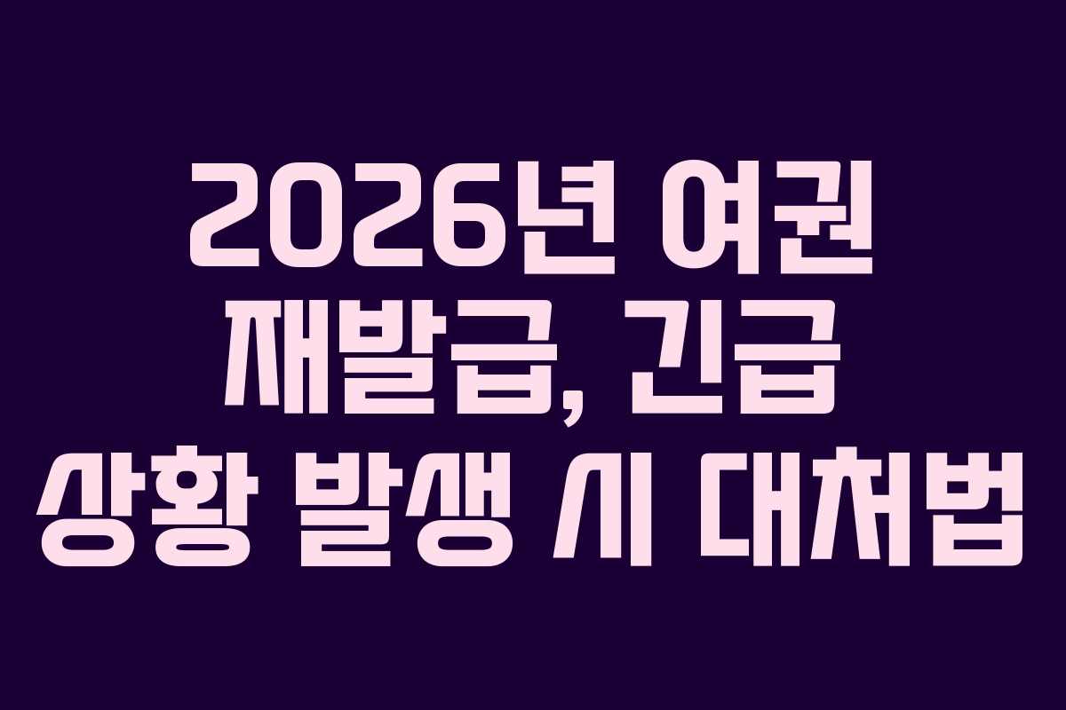 2026년-여권-재발급,-긴급-상황-발생-시-대처법