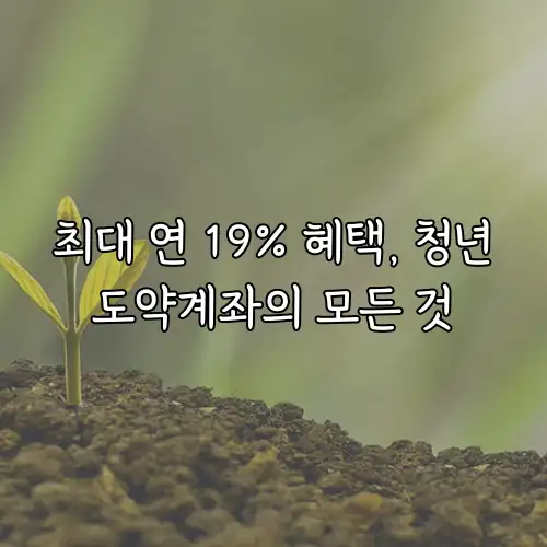 최대 연 19% 혜택, 청년도약계좌의 모든 것