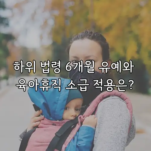 하위 법령 6개월 유예와 육아휴직 소급 적용은?