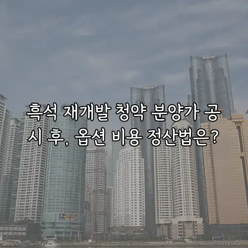 흑석 재개발 청약 분양가 공시 후, 옵션 비용 정산법은?