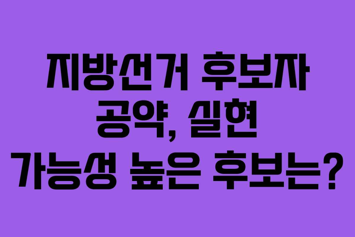지방선거-후보자-공약,-실현-가능성-높은-후보는