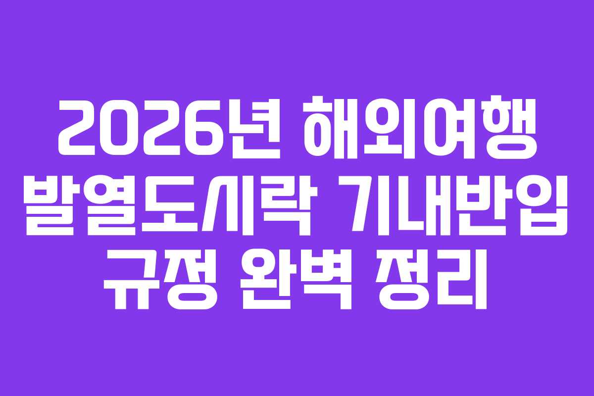 2026년-해외여행-발열도시락-기내반입-규정-완벽-정리