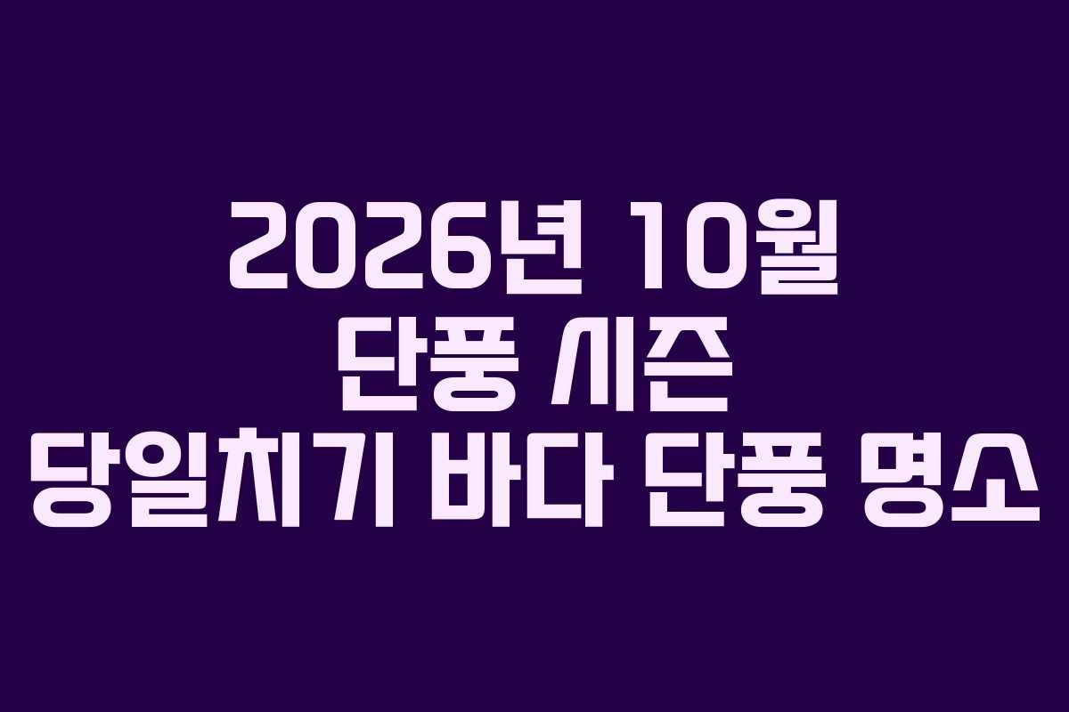 2026년-10월-단풍-시즌-당일치기-바다-단풍-명소