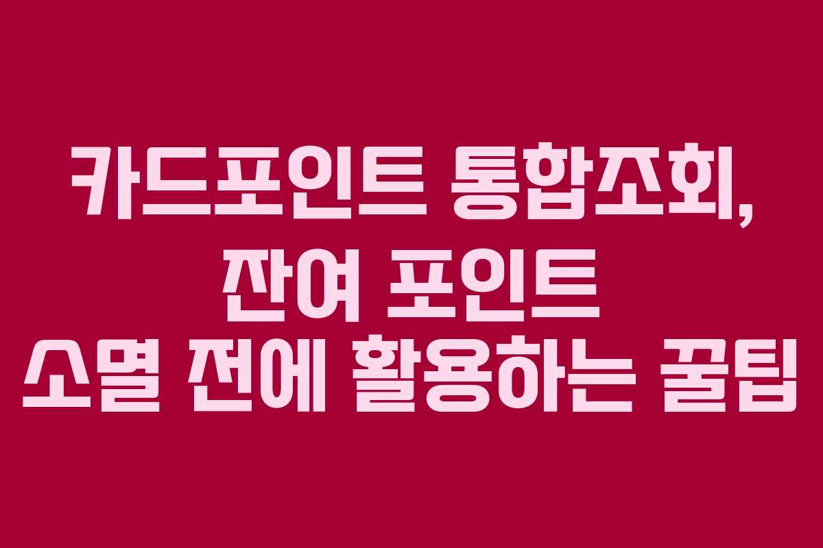 카드포인트-통합조회,-잔여-포인트-소멸-전에-활용하는-꿀팁