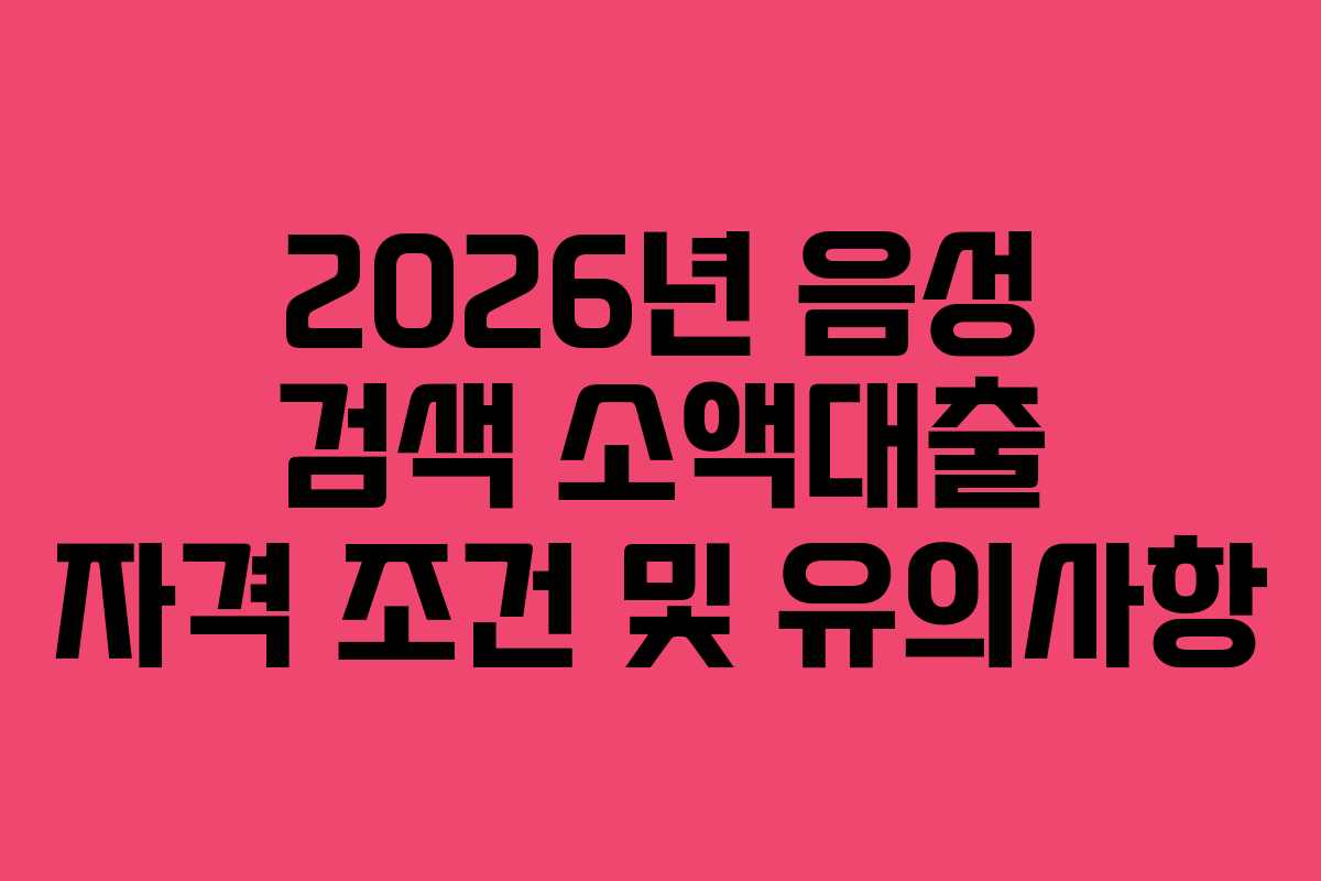 2026년-음성-검색-소액대출-자격-조건-및-유의사항