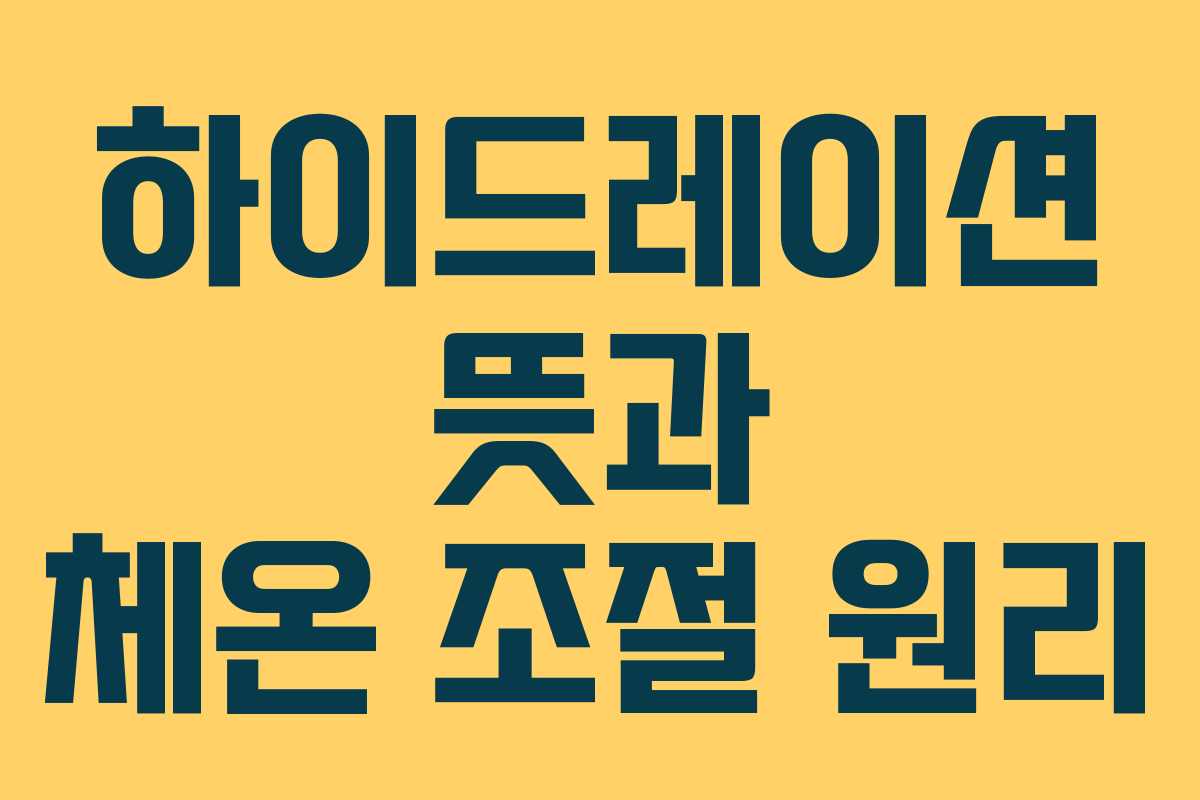 하이드레이션-뜻과-체온-조절-원리