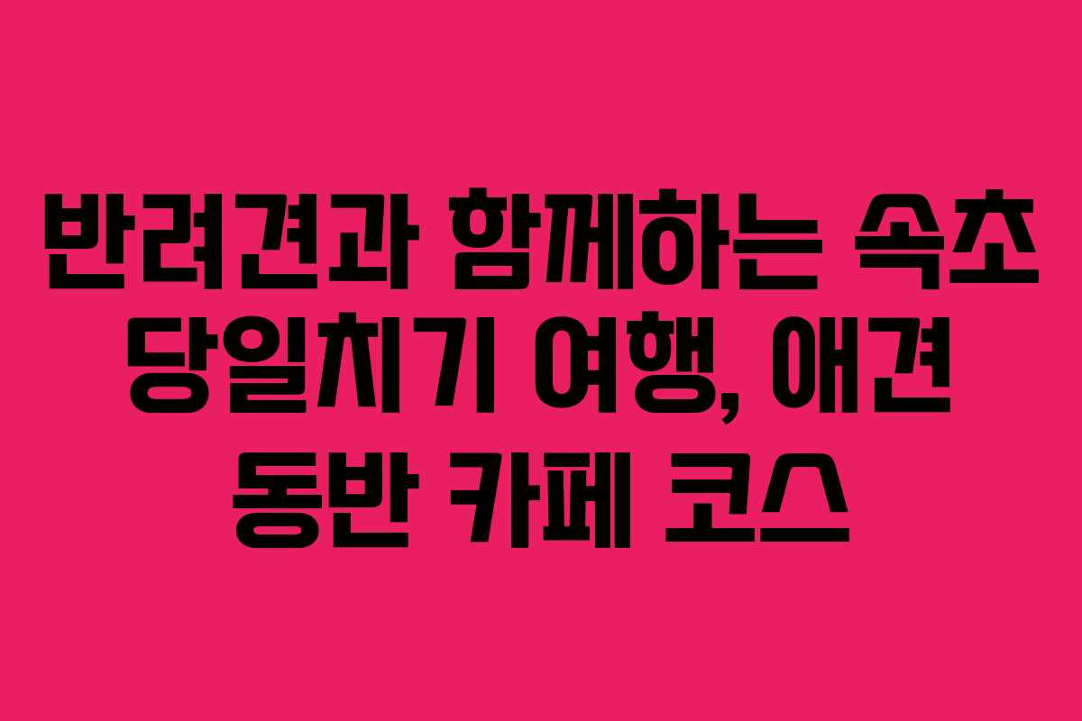 반려견과-함께하는-속초-당일치기-여행,-애견-동반-카페-코스
