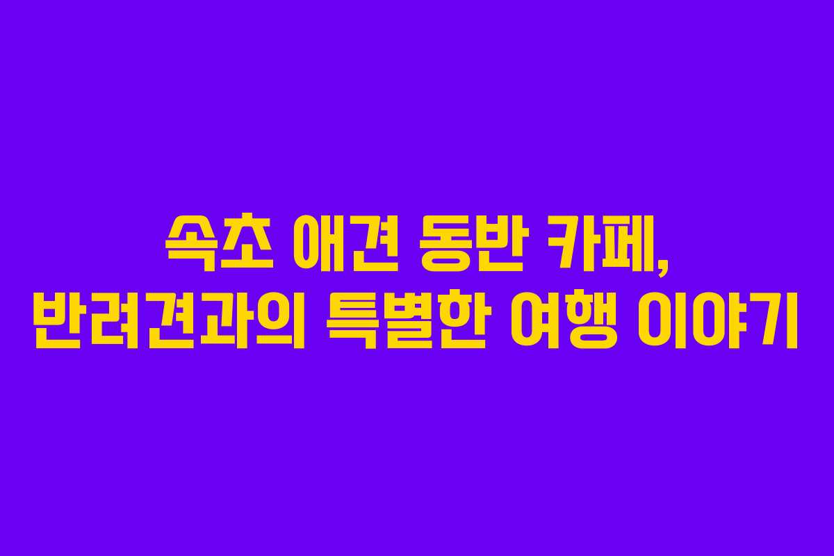 속초-애견-동반-카페,-반려견과의-특별한-여행-이야기